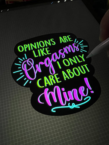 Opinions are like Orgasms sticker
